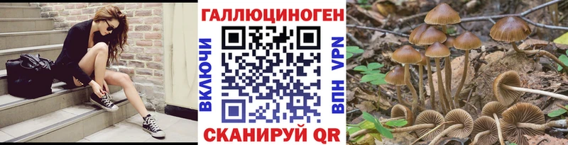 Галлюциногенные грибы Psilocybe  купить  цена  Глазов 